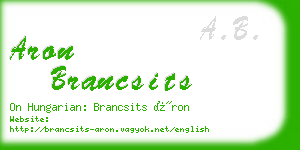 aron brancsits business card